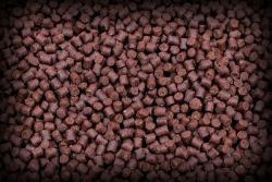 Red Halibut Feed Pellets 6mm